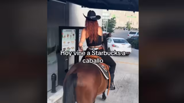 La influencer se dedica a rescatar a caballos maltratados