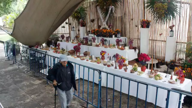 El montaje se encuentra ubicado en la Plaza Grande, de frente a la Catedral