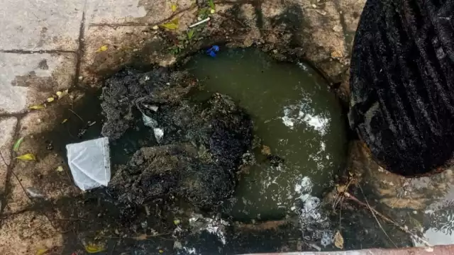 Los vecinos de la zona comentaron que, que la peste es cada vez peor