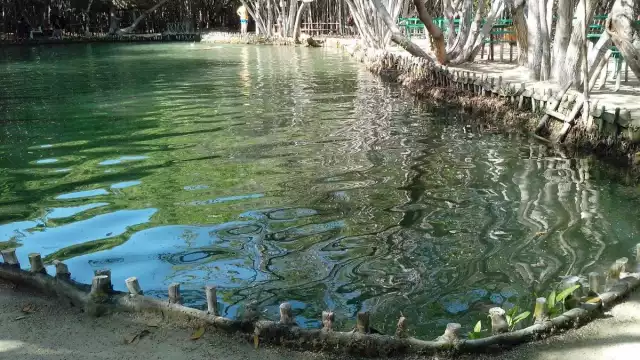 "El Corchito" se encuentra a 36 kilómetros de Mérida