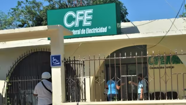 El año pasado se manifestaron para que la exparaestatal retirara el ramaje que choca con los cables, pero no hicieron lo acordado.
