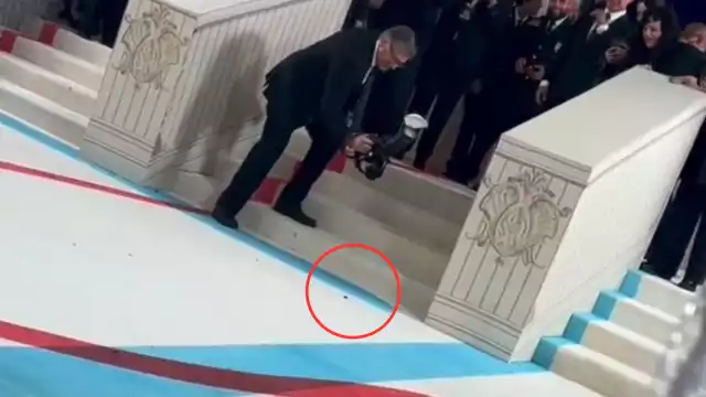 El momento en el que el fotógrafo se percató de la cucaracha. Foto: Especial