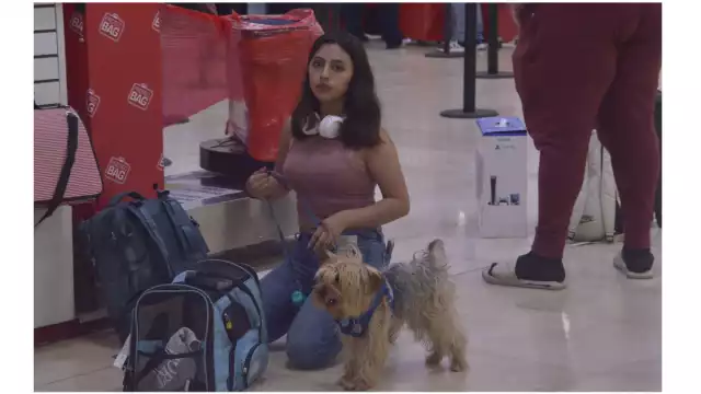 Bilbo se roba miradas en el Aeropuerto Internacional de Cancún