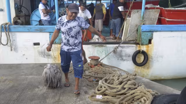 Las ventas de pulpo durante el mes de septiembre fueron bajas