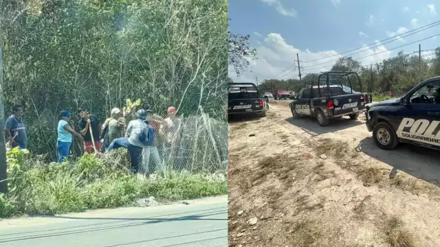 La gente ingresó a pesar de los sellos de la FGE. (POR ESTO!) 
Los invasores hicieron uso de maquinaria pesada