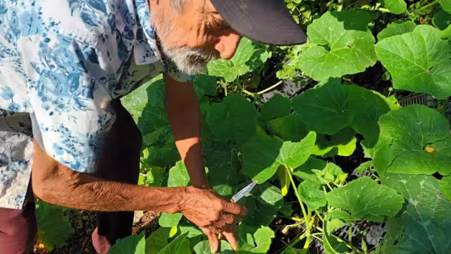 La preocupación por parte de los que aún se mantienen de pie en esta actividad y tratan de rescatarla de manera tradicional