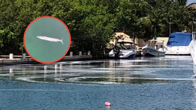 El mantenimiento se dio de manera irresponsable