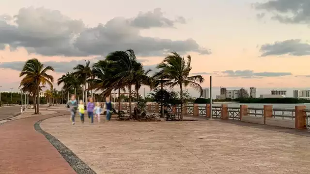 Como todos los años los consentidos de la casa esperan disfrutar de este día lleno de actividades divertidas o bien de regalos