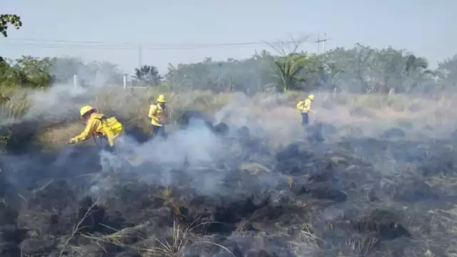Los brigadistas llegaron con bombas de agua para sofocar el incendio