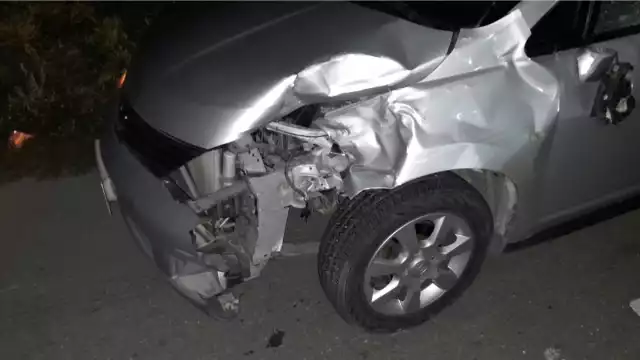 El animal fue retirado del lugar por su propietario, quien manifestó que se escapó del corral