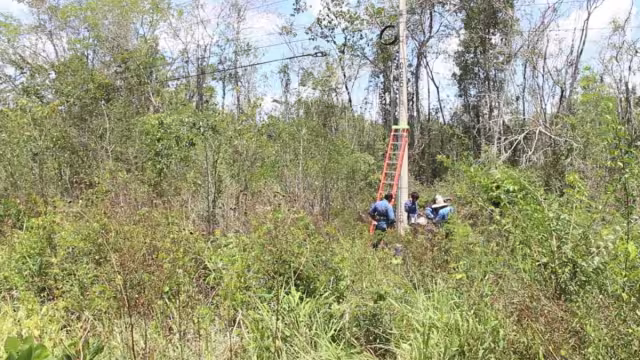 Por este motivo, José María Morelos no tenía teléfono e internet