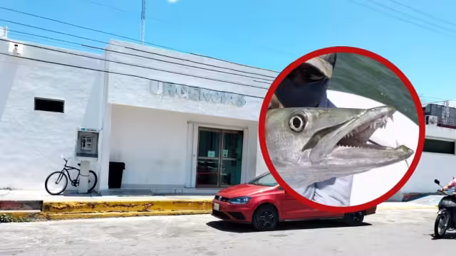 Los peces que comúnmente se consumen en la isla son la barracuda, es por eso que se debe estar atentos de los síntomas