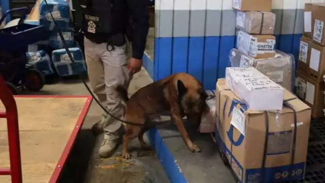 Candelaria y Escárcega son los dos municipios que más reciben drogas por paquetería en Campeche