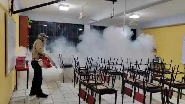 Informaron que las campañas de fumigación continúan