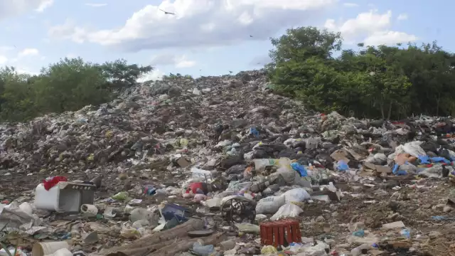 También ingresan varios automóviles particulares al relleno sanitario que llevan por cuenta propia sus desechos