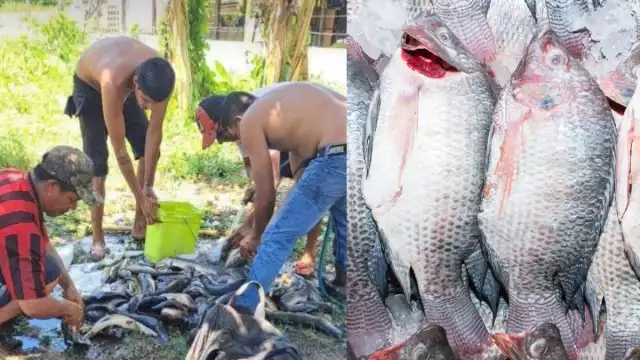Para la pesca hay que caminar varios kilómetros hasta encontrar alguna “aguada”