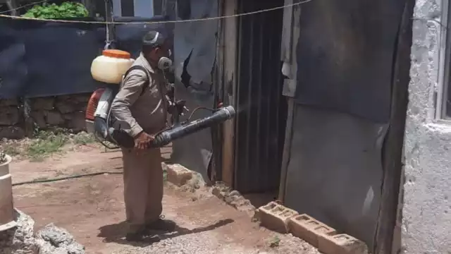 Se ha comenzado con una jornada de fumigación en Tizimín