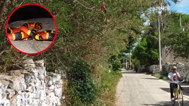 Con la llegada de la temporada de sequía, habitantes del rumbo temen se produzca un incendio en el terreno