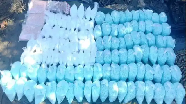 Estos operativos representan una afectación económica conjunta de más de mil millones de pesos al crimen organizado