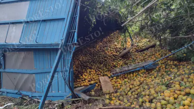 El chofer salió ileso y se retiró del lugar para solicitar ayuda