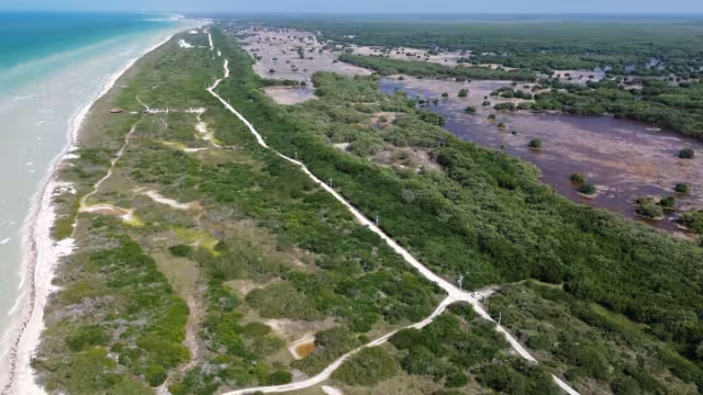 El director de Santuarios Marinos de Oceana lamentó la acelerada pérdida de humedales a nivel mundial