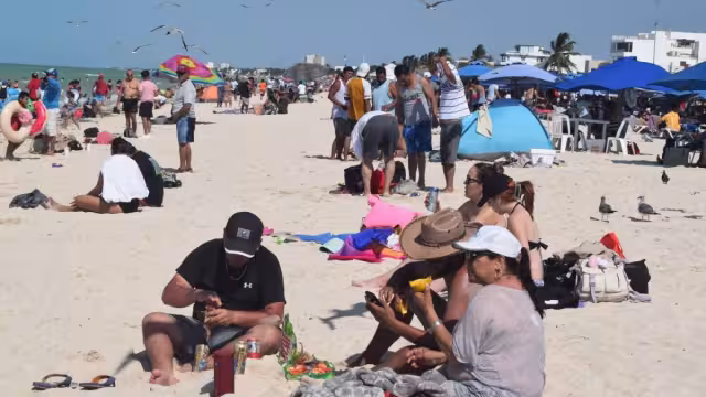 ¿Cuál es la superficie designada por Semarnat?