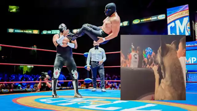 La lucha libre es uno de los deportes más populares en México