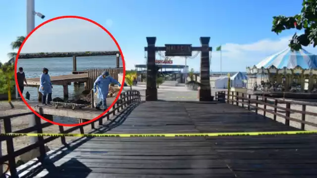 Los pescadores intentaron tirarle redes y cordeles para poder rescatarlo