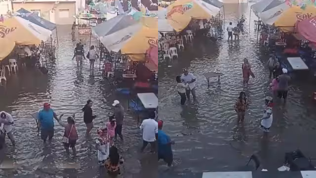 El video se ha hecho viral en redes sociales en Yucatán