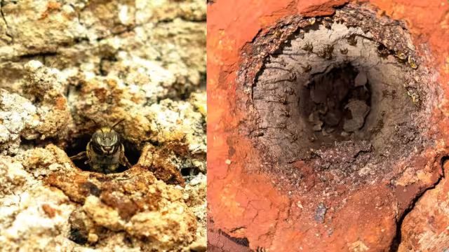 Los costos serán elevados por la situación