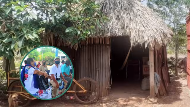 Algunas personas dicen que es mejor estar solas, para no padecer ningún tipo de violencia