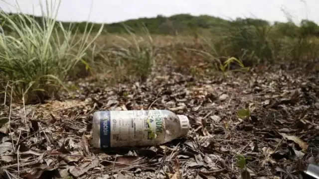 Los avisos servirán para que los apicultores tomen medidas antes y evitar la muerte de abejas