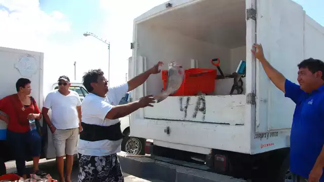 Sepasy afirma que la actividad de la costa genera derrama económica de mil millones de pesos