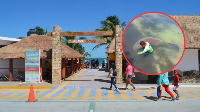 Guardavidas del balneario acompañaron al mamífero para cuidar su integridad