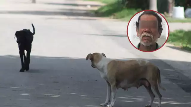 Ocurrió en la comunidad Sergio Buitrón Blanco