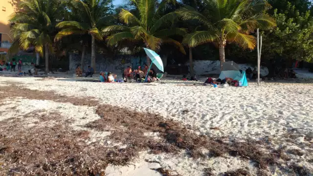 En la estrategia participan los tres órdenes de Gobierno