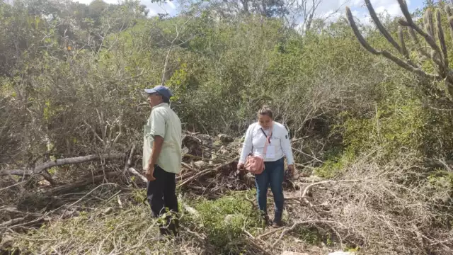 La inspectora Nidelvia Anguas acudió en nombre de la oficina central para revisar los terrenos y colocar el sello de clausurado.
