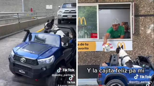 Los empleados de McDonald's aprovecharon para tomarse fotos con el perrito
