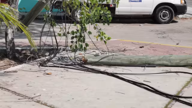 Vecinos ya reportaron el hecho para recuperar el servicio lo antes posible
