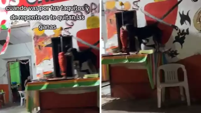 Los comentarios en el video le buscaron el lado humorístico al hecho