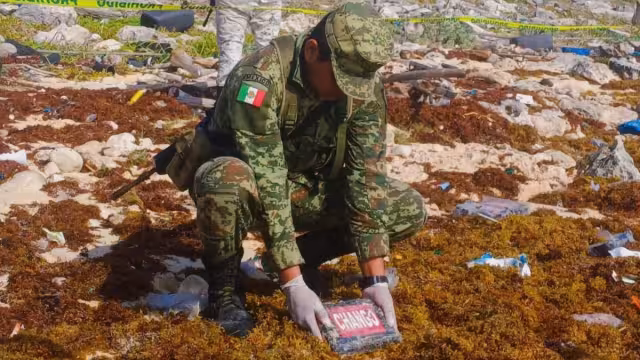 Estas son las particularidades de la sustancia asegurada por el Ejército Mexicano en Quintana Roo