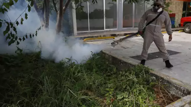 El informe reveló que, hasta el momento, se han notificado 40 casos de dengue común o “no grave”