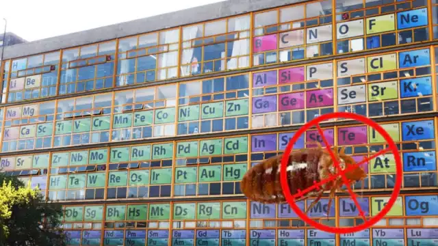 La Facultad de Química de la UNAM llevará a cabo una fumigación por la plaga de chinches que se reportó