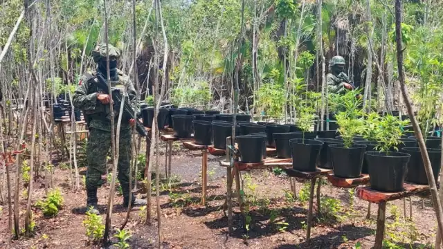 El sitio fue ubicado cerca de la localidad Andrés Quintana Roo