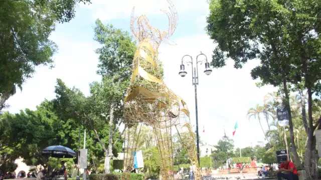 Se informó que se colocaron más de mil piezas navideñas de diferentes diseños y colores