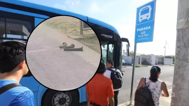 Se desconoce quién fue el responsable de dejar los juguetes sexuales