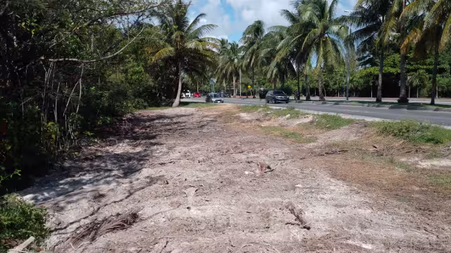 En el sitio pretenden desarrollar el proyecto Maldiva