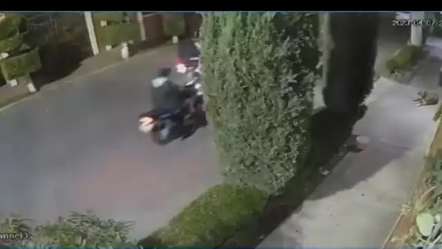 Jóvenes disparan a una perrita por diversión en Texcoco, Estado de México