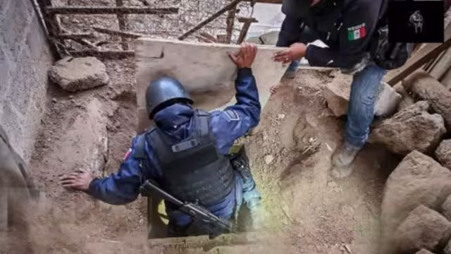 El pasado mes de junio se encontró uno en el mercado de Puebla