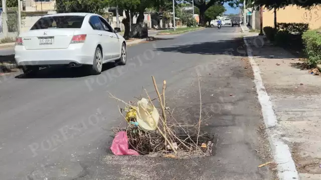 Vecinos colocaron ramas como señal preventiva en una alcantarilla hundida en la avenida Concordia, en Champotón.